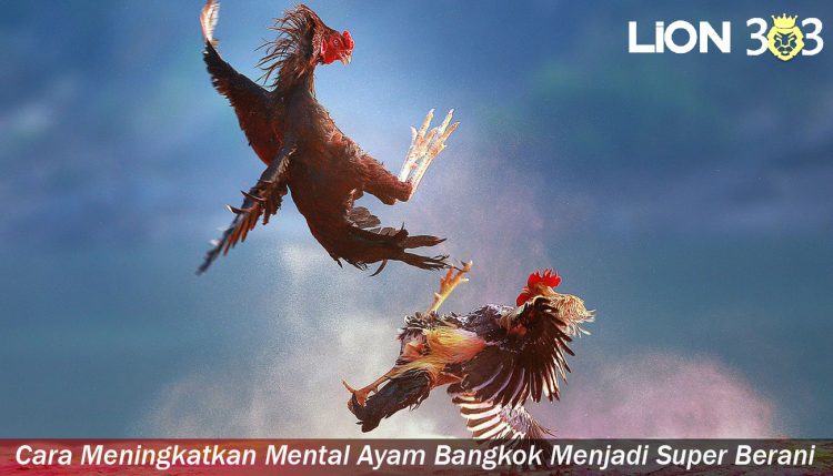 Cara Meningkatkan Mental Ayam Bangkok